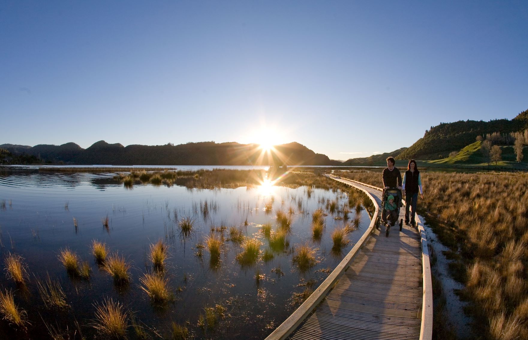 Lake Okareka Rotorua Walks