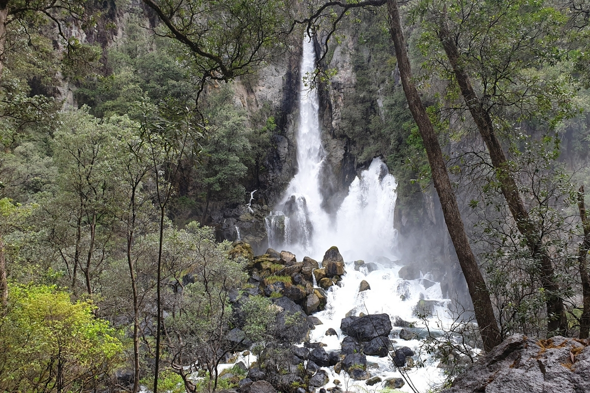Tarawera Falls - Waterfall walks in Rotorua