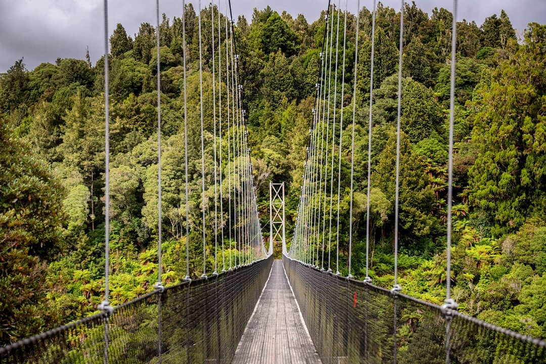 Timber Trail Rotorua Day Trip