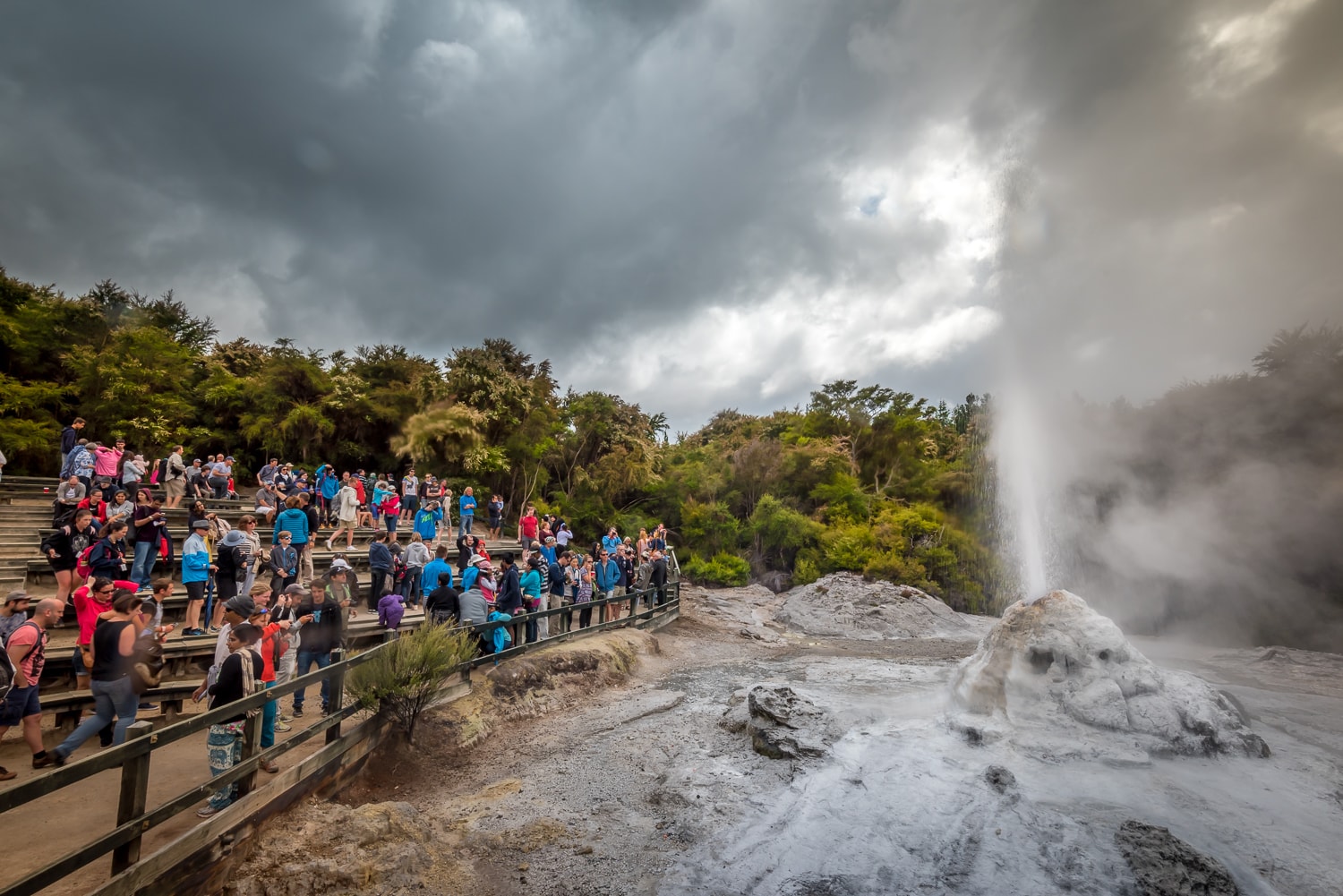Rotorua Geyser - Geothermal attractions