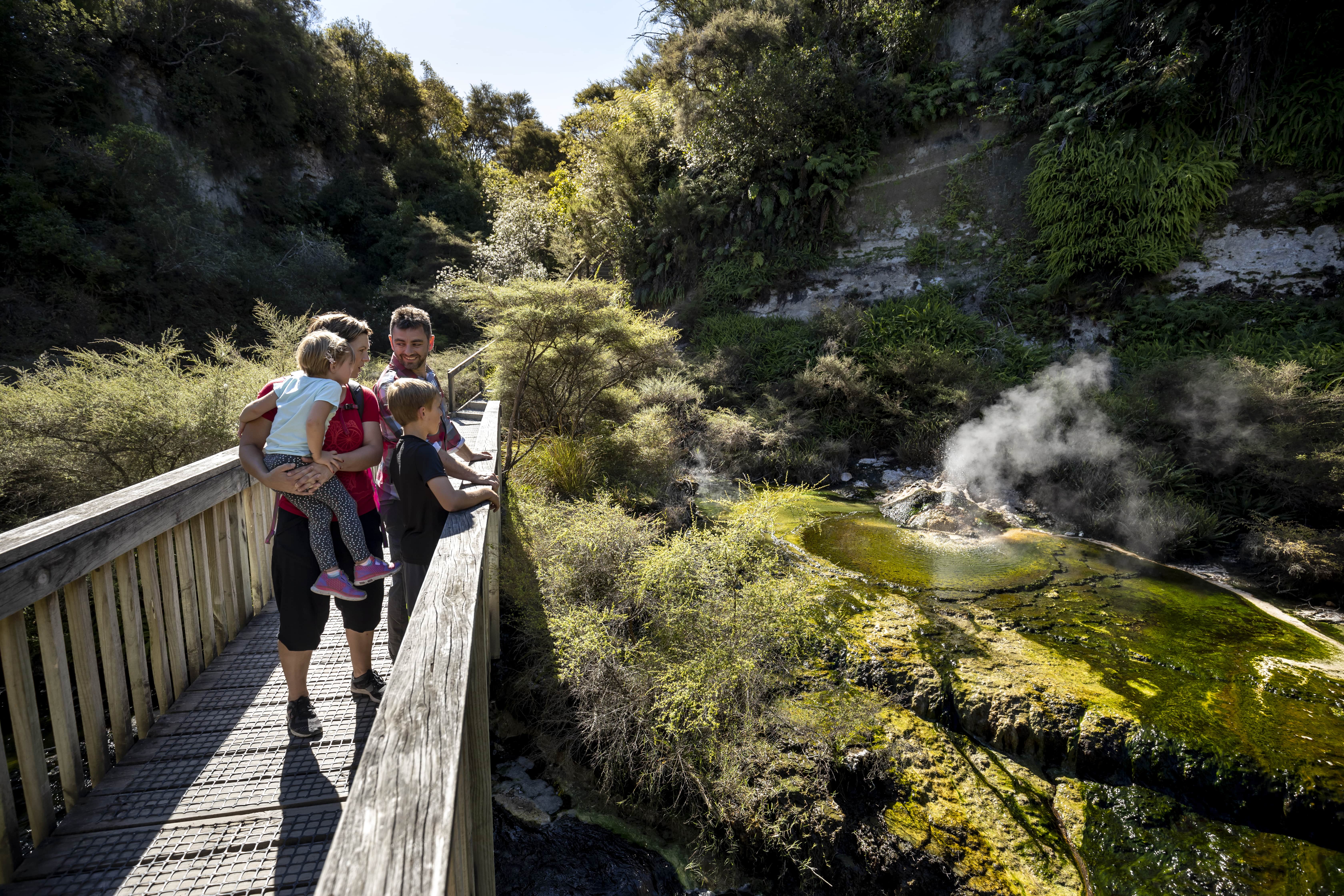 Waimangu Volcanic Valley Rotoruas Geothermal Valley Book Now